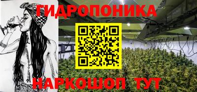 тгк Вышний Волочёк