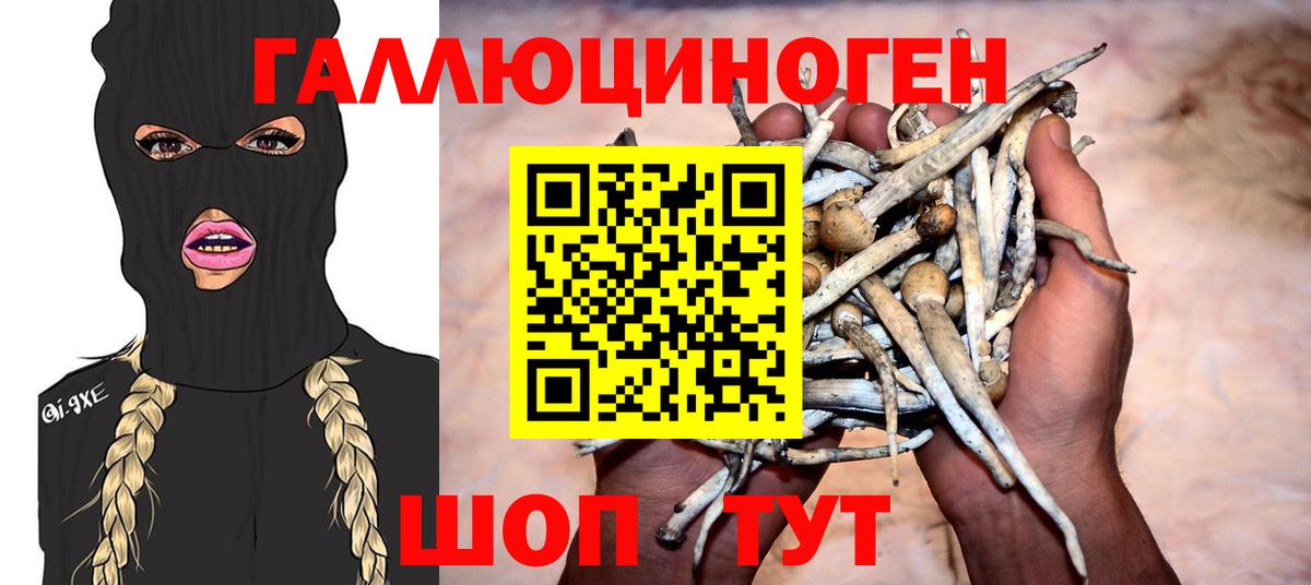 Псилоцибиновые грибы прущие грибы Ачинск
