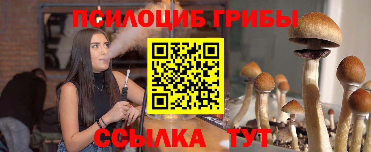 закладка  Галлюциногенные грибы Cubensis  Ачинск  Вход с VPN  Галлюциногенные грибы Psilocybe 